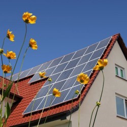 Placa Solar Fotovoltaica  100 Watios - Monocristalina