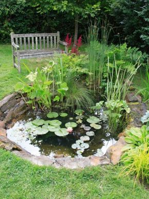 El jardín del estanque - Paso a paso de la construccion de un jardín 